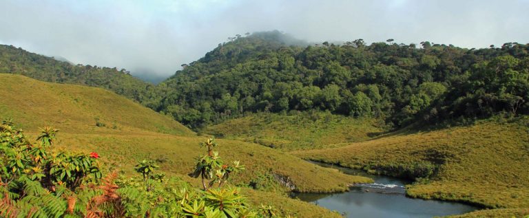 Best-things-to-do-in-Nuwara-Eliya-Horton-Plains-by-Olanka-Travels-768×317